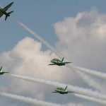 Royal Saudi Hawks