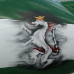 Royal Saudi Hawks mit Styrian Panther
