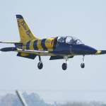 036 - L-39C Albatros der Baltic Bees L-39C Albatros der Baltic Bees
