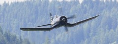 Keine AIRPOWER 2015 © Doppeladler.com