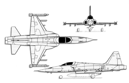 die F-5E Tiger II