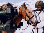 PAL 2000 (RBS 56 BILL)