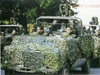 PAL 2000 (RBS 56 BILL)