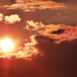 SR2 - Empire of the sun - P 51 Mustang © Sascha Rudroff