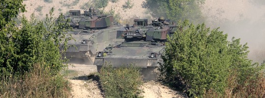 Schützenpanzer Ulan in Mautern © Doppeladler.com