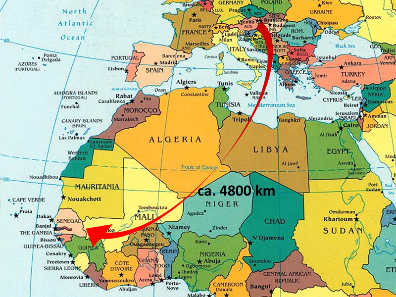 Senegals Hauptstadt Dakar liegt rund 4.800 km von Wien entfernt und doch haben Krisen in Westafrika direkte Auswirkungen auf Österreich.
