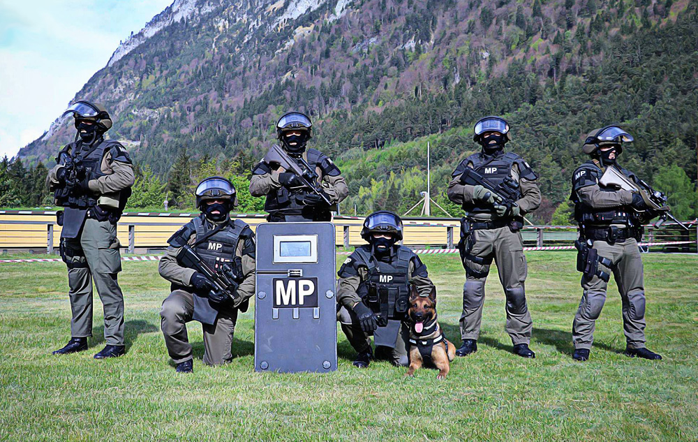 Militärpolizei bei der TROMOS 2017 © Bundesheer