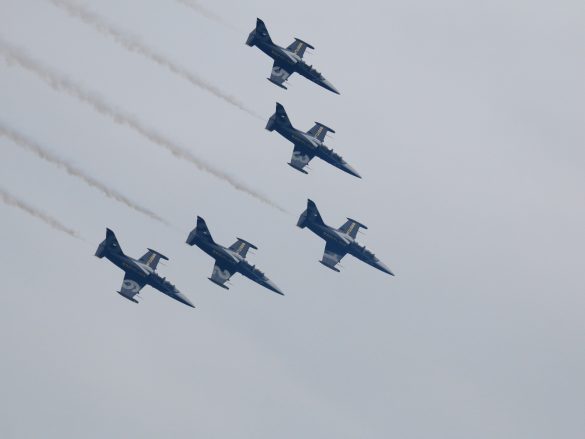 Breitling Jet Team (Aero L-39C Albatros) © Doppeladler.com