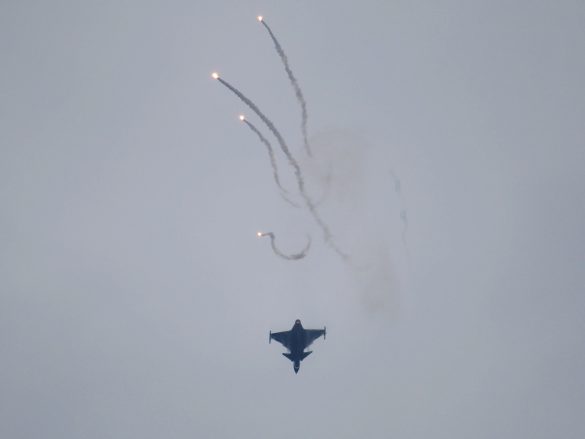 Saab JAS-39C Gripen '31' aus Ungarn © Doppeladler.com