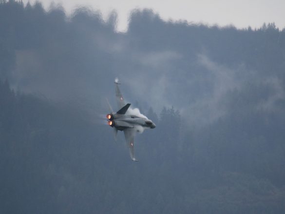 McDonnell Douglas F/A-18C Hornet 'J-5017' © Doppeladler.com