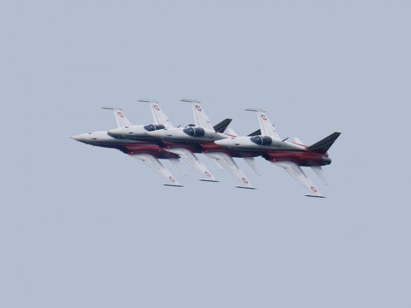 Patrouille Suisse auf Northrop F-5E Tiger II © Doppeladler.com