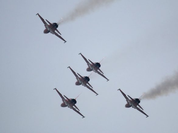 Patrouille Suisse auf Northrop F-5E Tiger II © Doppeladler.com