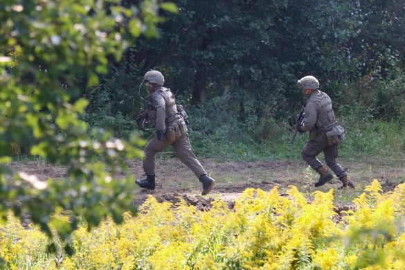 Die Grenadiere rücken nach - nun ist der Weg zum Lager der Extremisten frei © Doppeladler.com