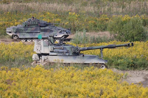 Panzerhaubitze und Schützenpanzer © Doppeladler.com
