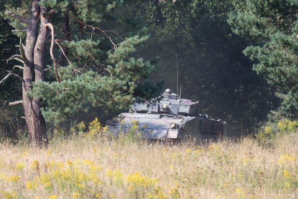 Schützenpanzer brechen aus einem Waldstück hervor © Doppeladler.com