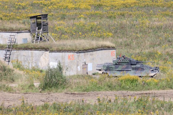 Schützenpanzer Ulan © Doppeladler.com
