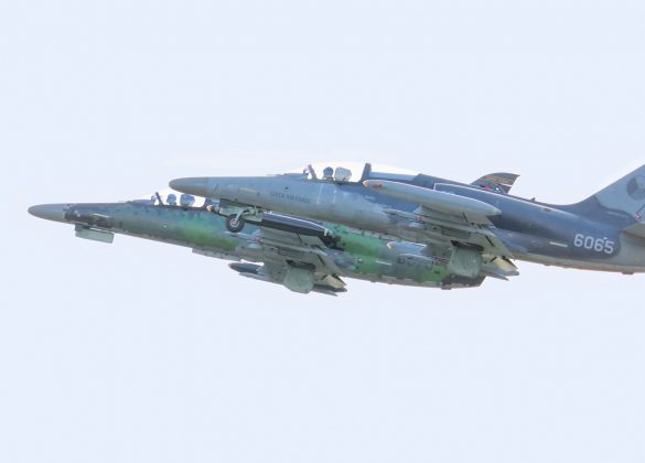 Aero L-159A ALCA aus Tschechien | 6065 und 6070 © Doppeladler.com