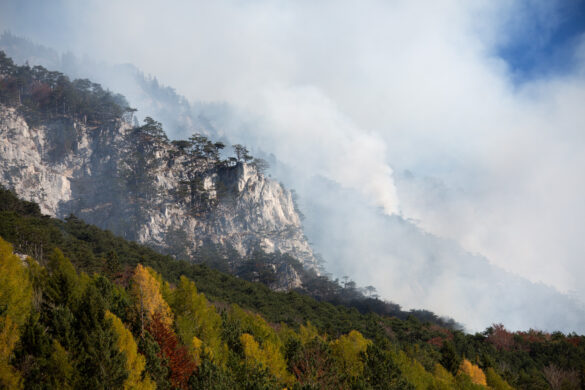 Starke Rauchentwicklung über dem Bodenbrand © NÖ LFKDO / M. Fischer