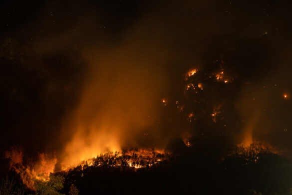 Waldbrand am Mittagstein über Hirschwang an der Rax - der größte seit über 100 Jahren in Österreich © NÖ LFKDO / M. Fischer