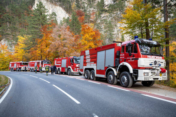 Entlang der Straße wurde der Waldstreifen durchnässt, um ein Übergreifen der Flammen zu verhindern © NÖ LFKDO / M. Fischer