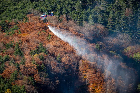 H135 beim Abwurf © NÖ LFKDO / M. Fischer