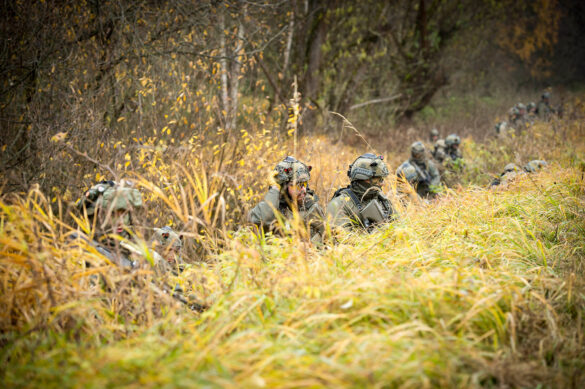 WAFOR in Stellung © Bundesheer