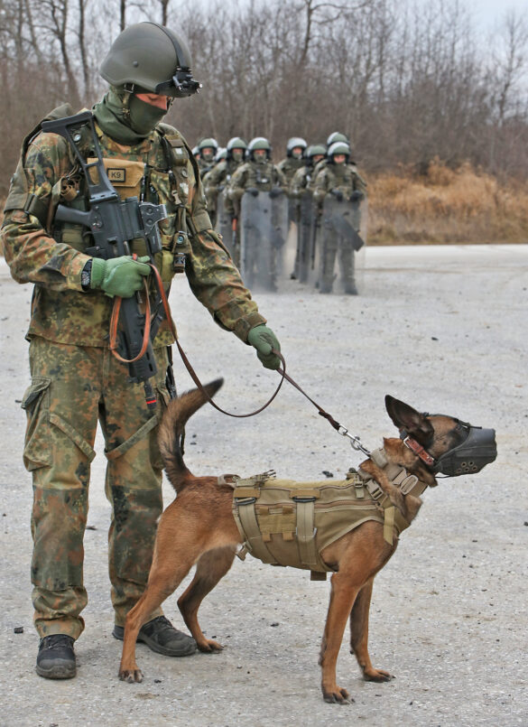 K9 Hundeführer der Bundeswehr © Bundesheer