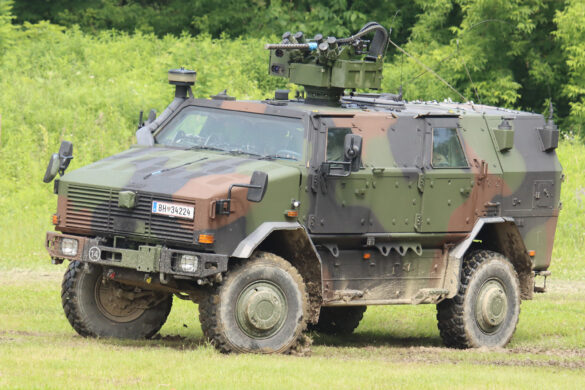 ATF Dingo 2 © Doppeladler.com