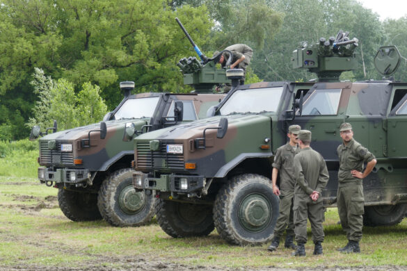 ATF Dingo 2 © Doppeladler.com