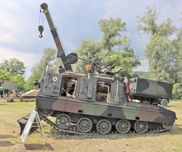 Bergepanzer Greif A1 © Doppeladler.com