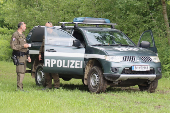 Mitsubishi L-200 der Militärpolizei © Doppeladler.com