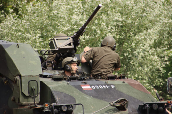 Pionierpanzer A1 © Doppeladler.com
