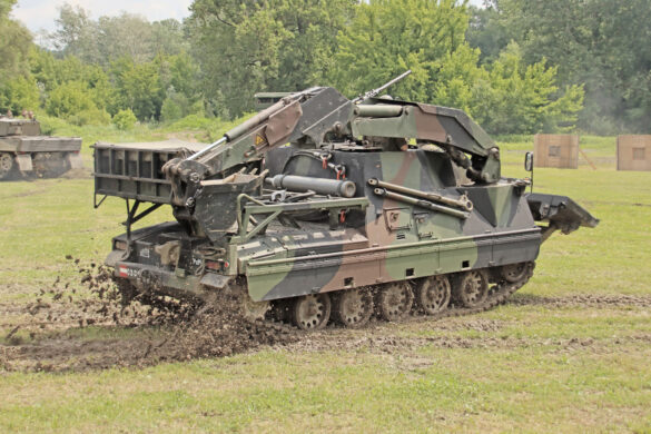 Pionierpanzer A1 © Doppeladler.com