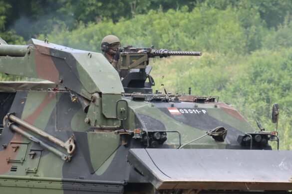 Pionierpanzer A1 © Doppeladler.com