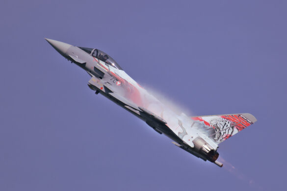 7L-WC | Eurofighter Typhoon im Tiger-Look © Doppeladler.com