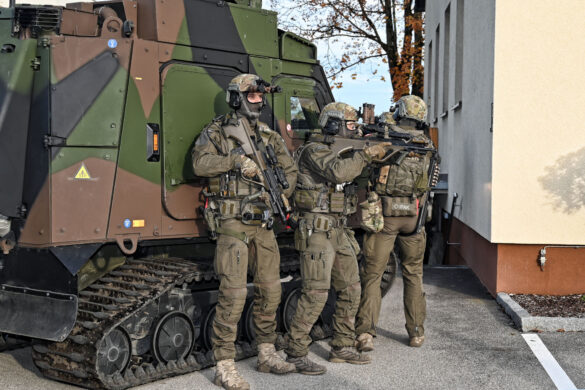 Einsatzkommando Cobra mit Universalgeländefahrzeug BvS10 © Bundesheer