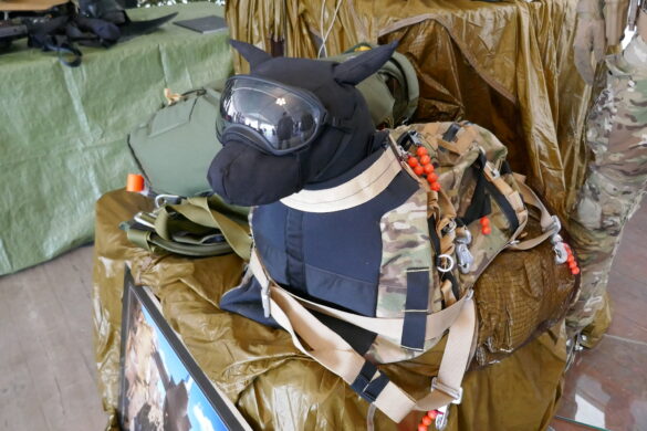 Uniform für den Jagdkommando-Hund von heute © Doppeladler.com