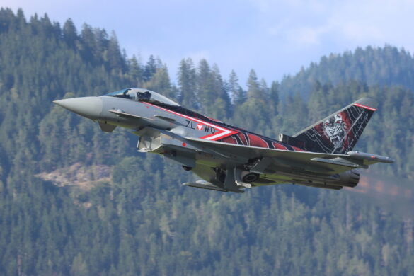 Grey-Tiger - Eurofighter Typhoon 7L-WO © Doppeladler.com