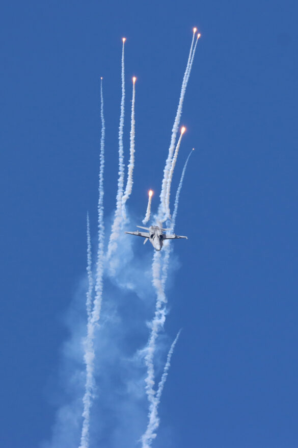 McDonnell Douglas F/A-18C Hornet aus Finnland © Doppeladler.com