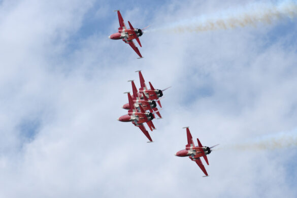 Patrouille Suisse / Northrop F-5E Tiger II © Doppeladler.com