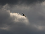 Eurofighter Typhoon