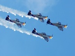 Flying Bulls Aerobatics Team