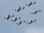 PZL - 130 Orlik